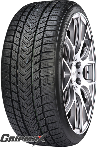 GRIPMAX Pro Winter 255/40R22 103V XL DOT3023